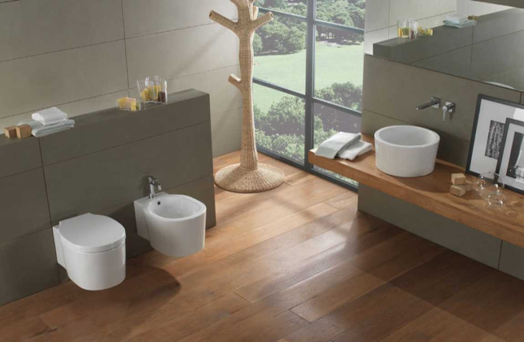 How to choose sanitary ware? Barana Sanitary Wares